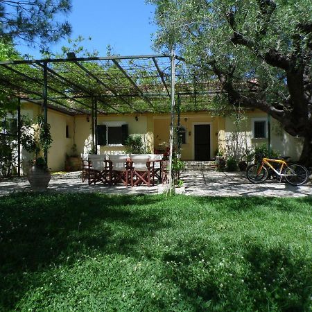 Theni Olive Grove Villa Kato Yerakarion Exterior photo