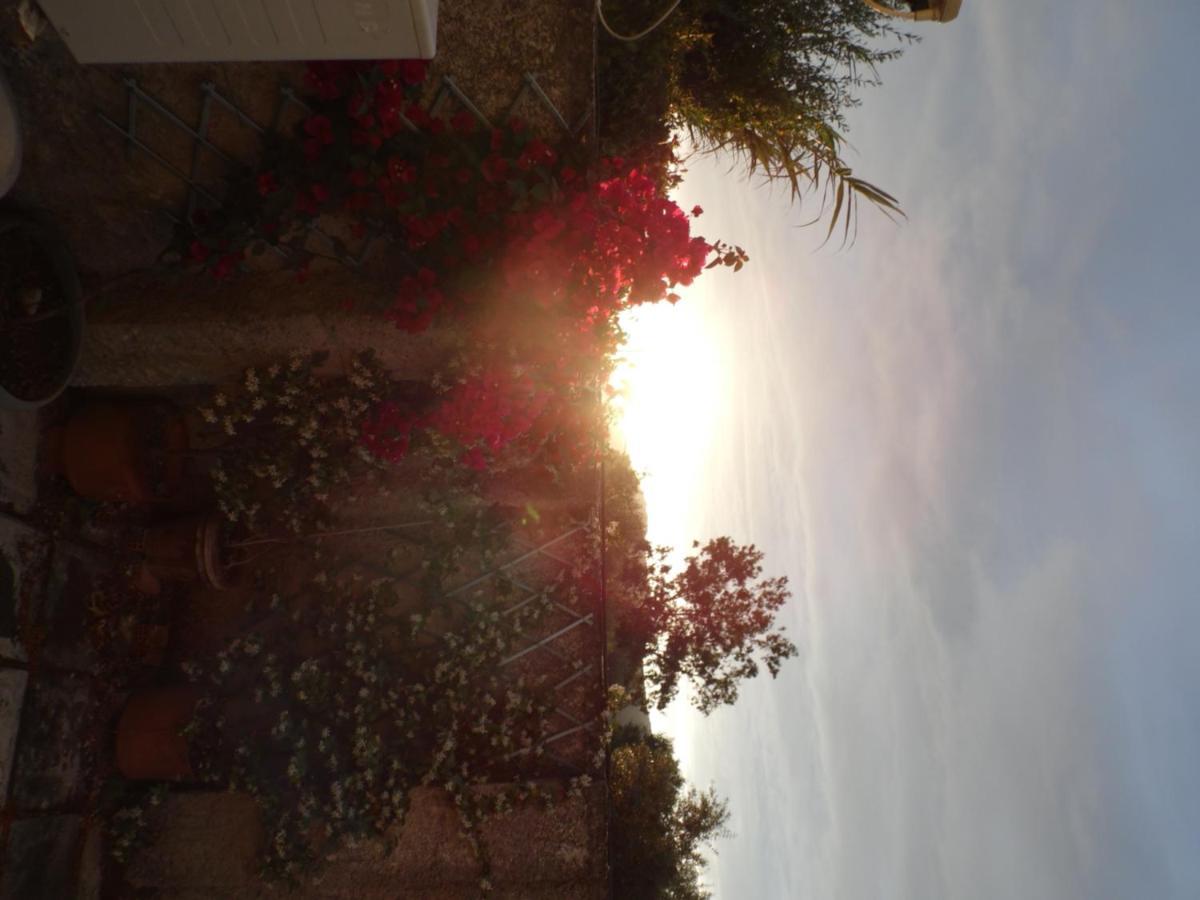 Theni Olive Grove Villa Kato Yerakarion Exterior photo