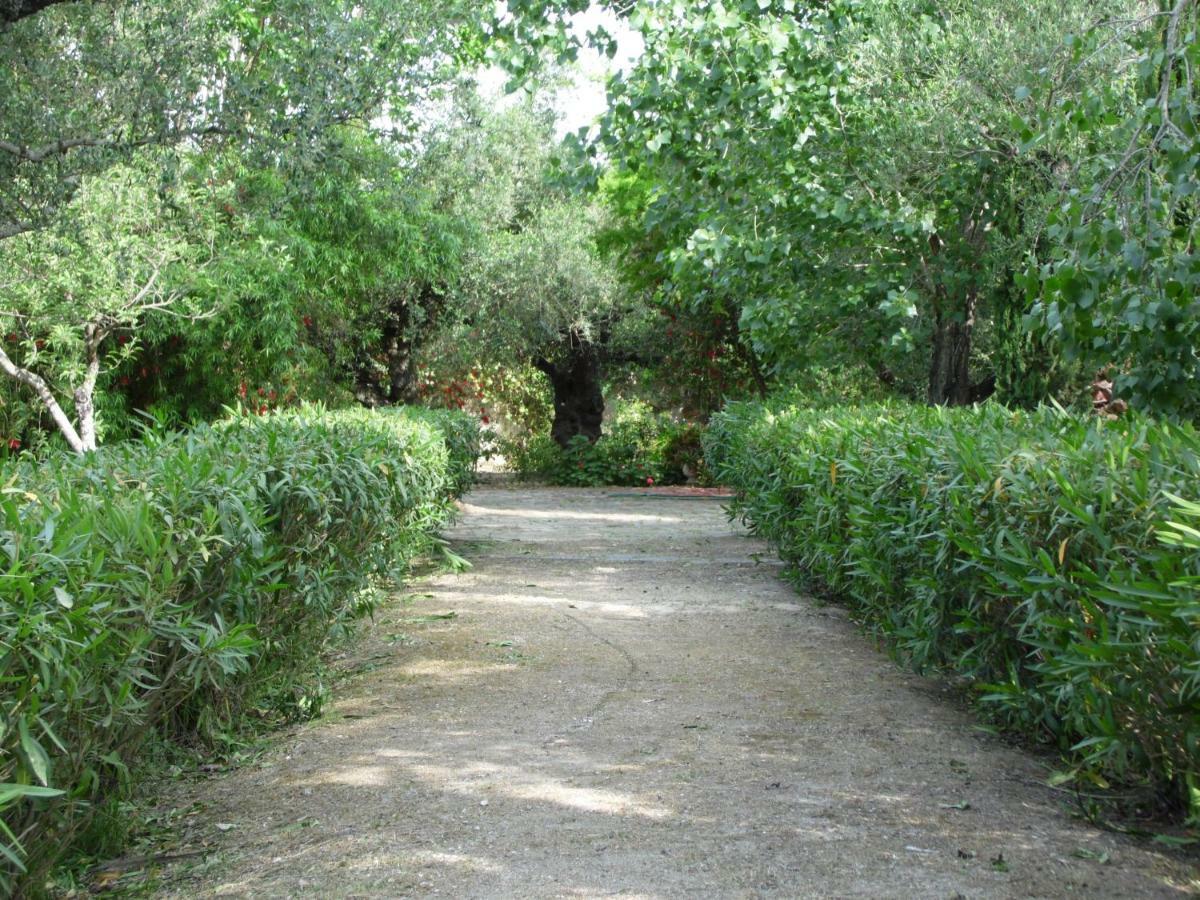 Theni Olive Grove Villa Kato Yerakarion Exterior photo
